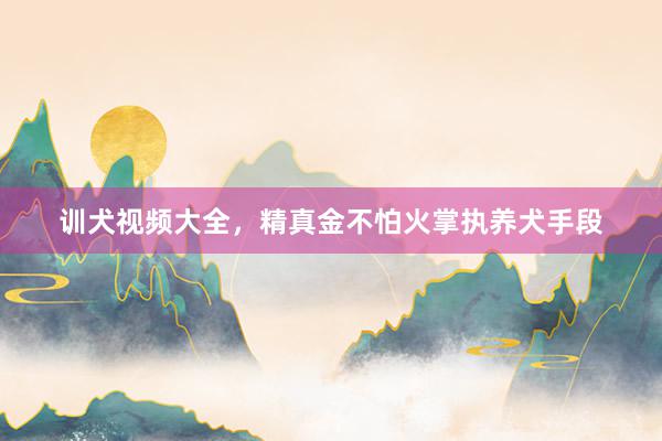 训犬视频大全，精真金不怕火掌执养犬手段
